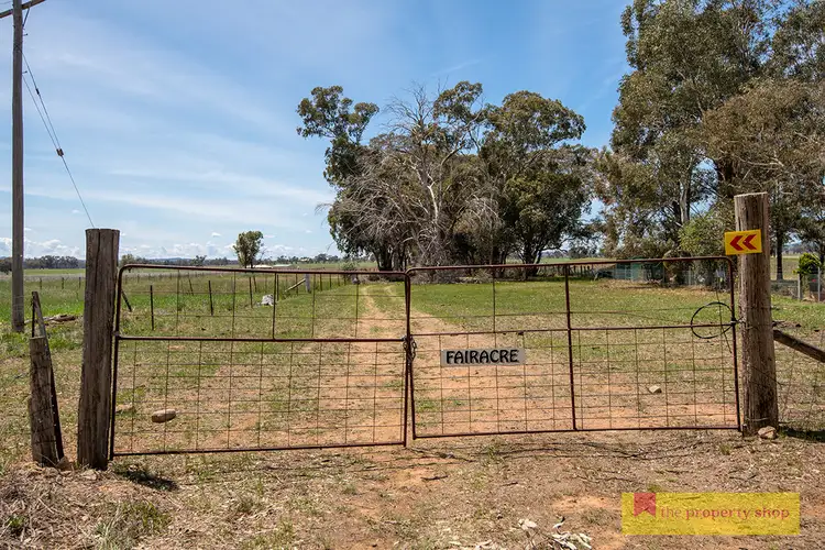 Seventh view of Homely rural property listing, 82 Nugget Lane, Gulgong NSW 2852