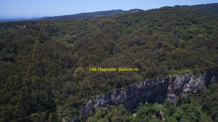 146 Repeater Station Road, Springbrook QLD 4213