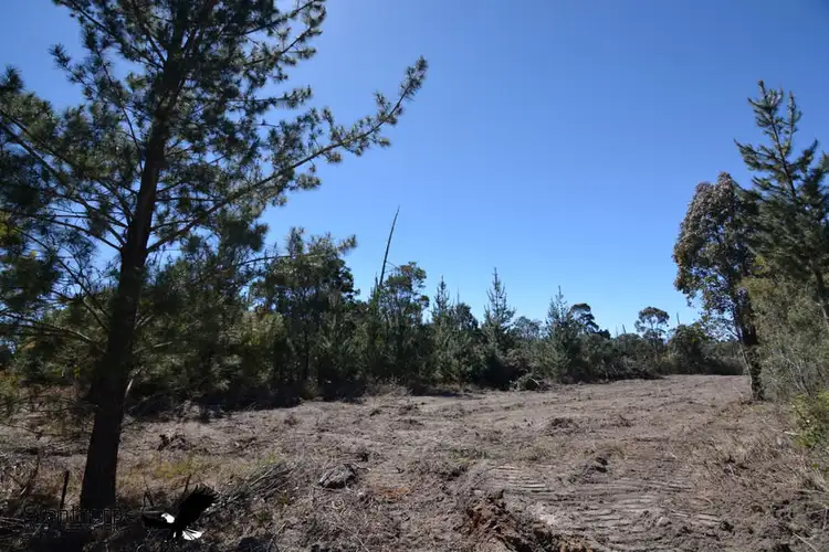 Fourth view of Homely rural property listing, LOT 208 Ironbark Road, Sugarloaf QLD 4380