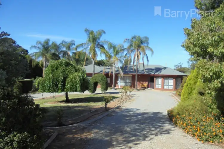 11 Hunt Drive, Robinvale VIC 3549