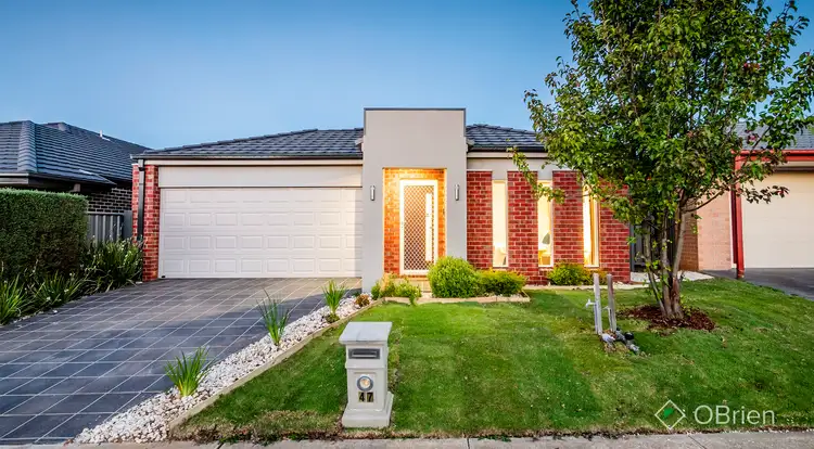 Main view of Homely house listing, 47 Abrus Circuit, Cranbourne North VIC 3977