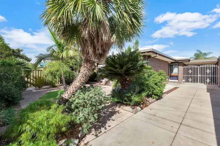 28 Wheaton Street, South Plympton SA 5038