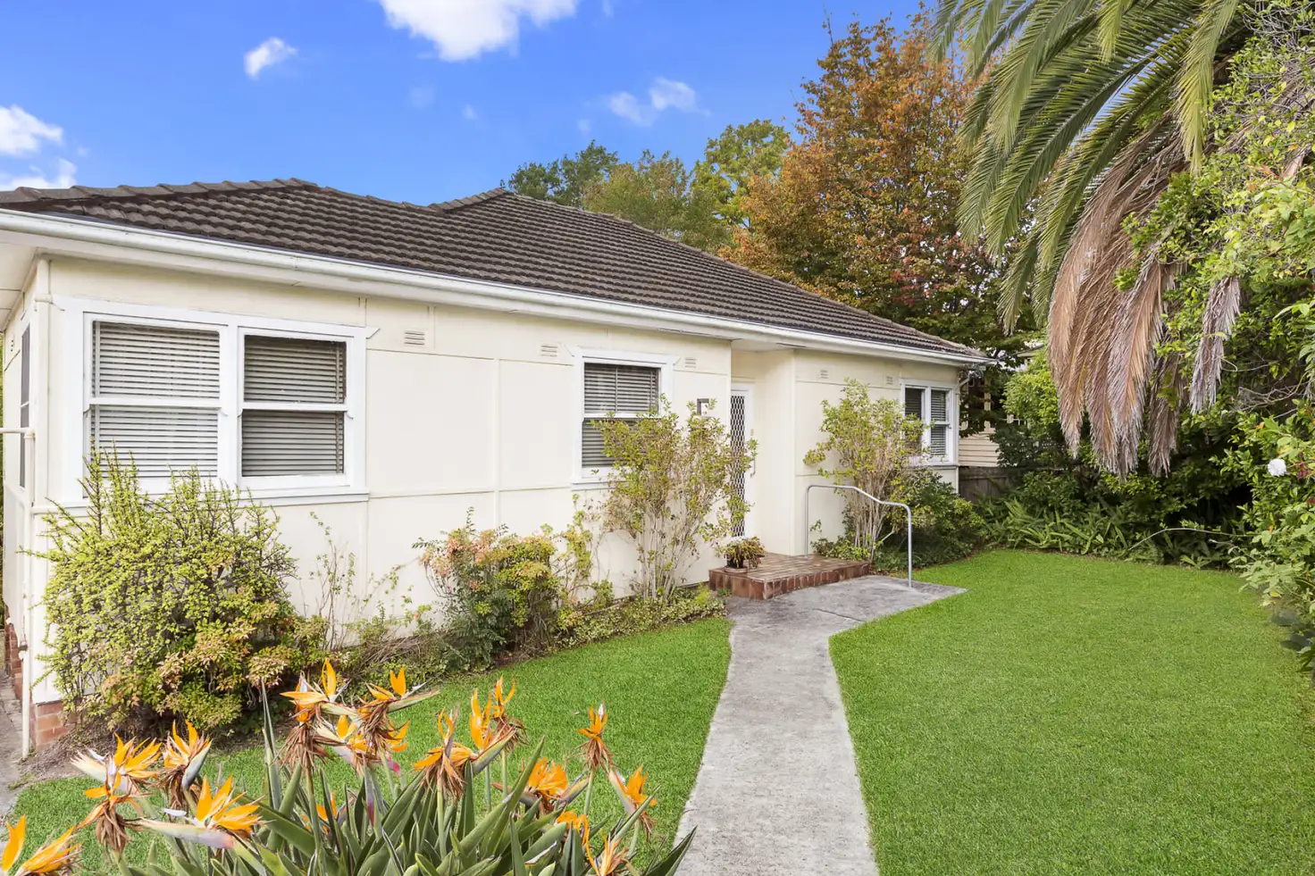 Main view of Homely house listing, 43 Rosamond Street, Hornsby NSW 2077