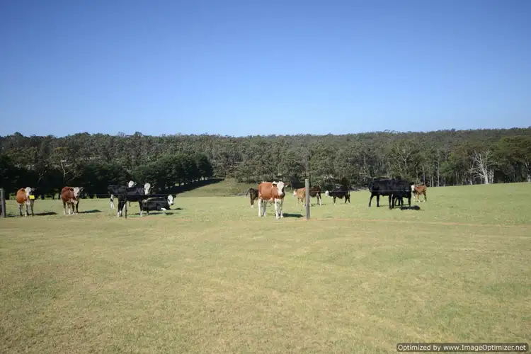 Second view of Homely rural property listing, 130 Ellaswood Road, Bairnsdale VIC 3875