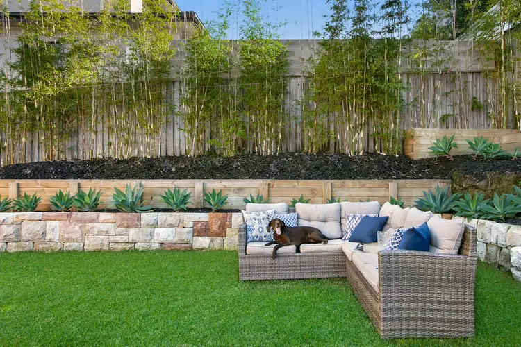 Second view of Homely house listing, 12 Cromer Road, Cromer NSW 2099