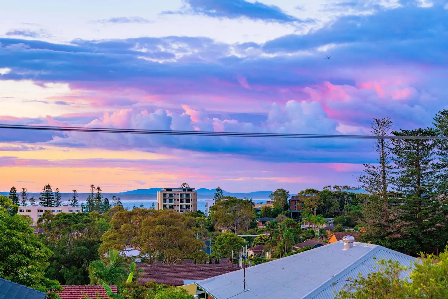 Main view of Homely unit listing, 3/14 Arncliffe Avenue, Port Macquarie NSW 2444