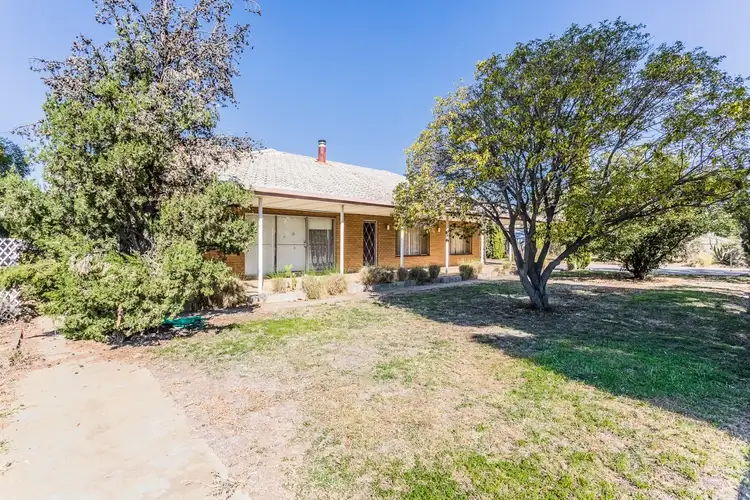 Main view of Homely house listing, 37-41 Maiden Street, Moama NSW 2731