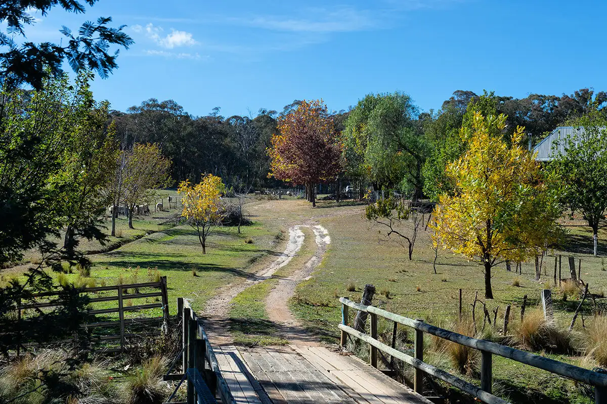 Main view of Homely rural property listing, 3635 Hill End Road, Mudgee NSW 2850