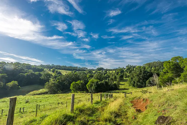 Fifth view of Homely rural property listing, 234 Binna Burra Road, Binna Burra NSW 2479