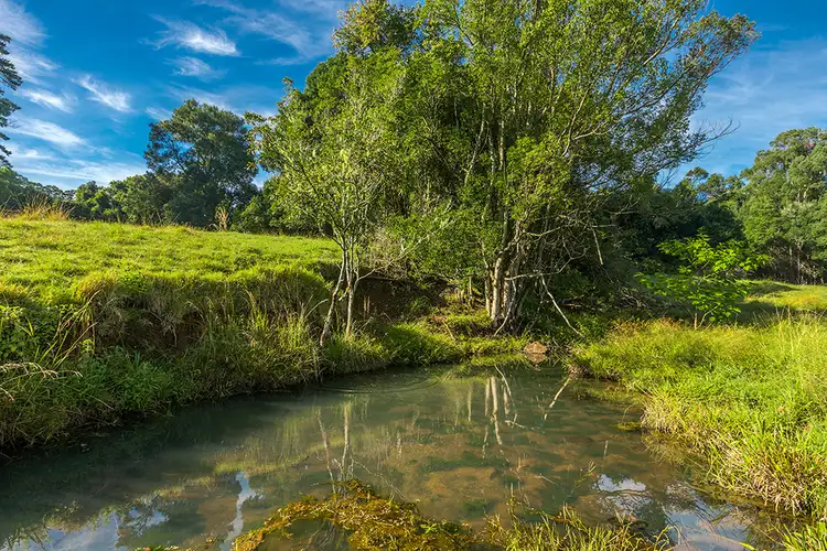 Sixth view of Homely rural property listing, 234 Binna Burra Road, Binna Burra NSW 2479