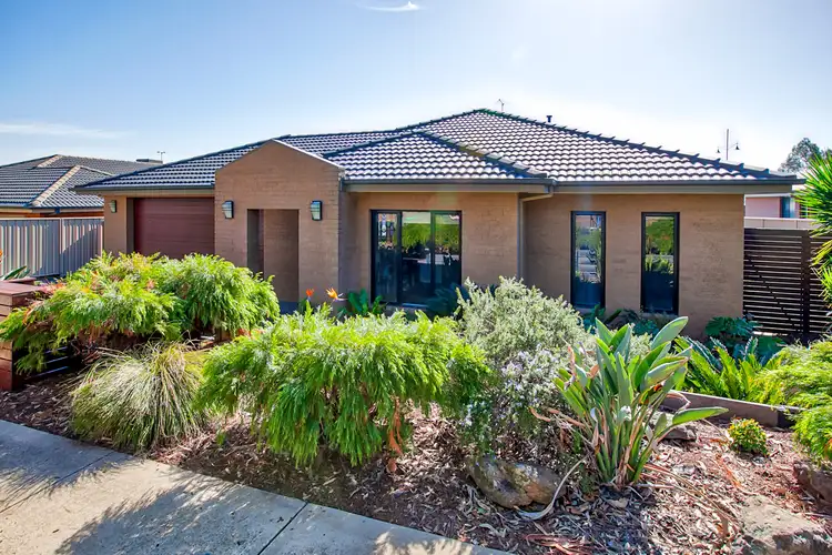 8 Windsor Street, Wodonga VIC 3690