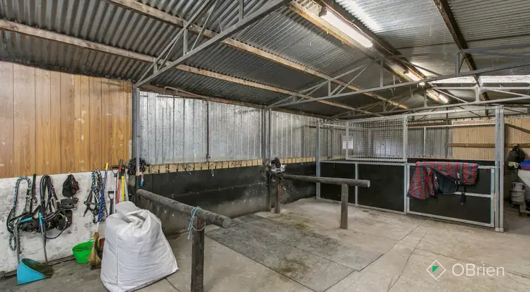 Sixth view of Homely house listing, 51 Boundary Drain Road, Koo Wee Rup VIC 3981