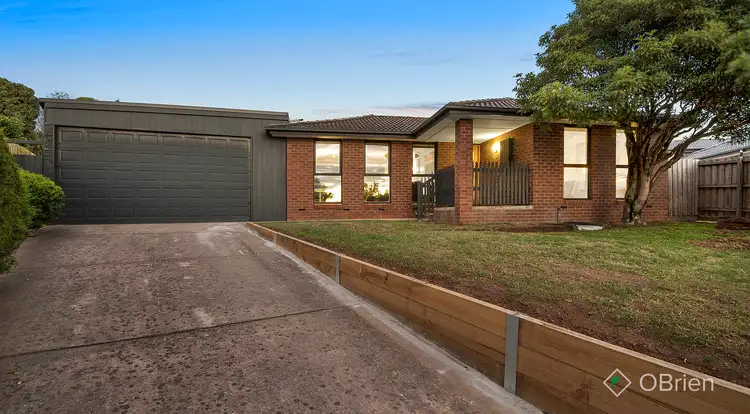 Main view of Homely house listing, 3 Newmill Close, Endeavour Hills VIC 3802