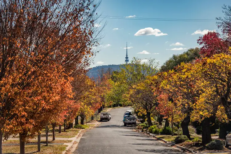 Second view of Homely townhouse listing, 25A Carstensz Street, Griffith ACT 2603