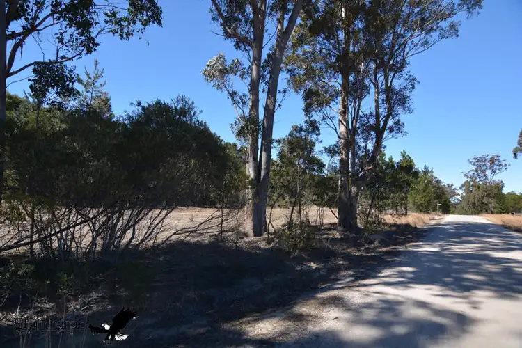 Fourth view of Homely rural property listing, LOT 211 Central Road, Sugarloaf QLD 4380