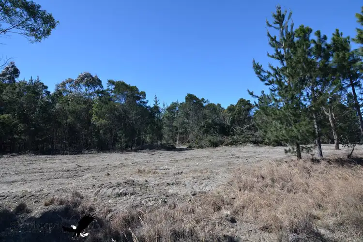 Fifth view of Homely rural property listing, LOT 211 Central Road, Sugarloaf QLD 4380