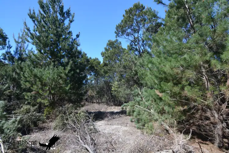 Seventh view of Homely rural property listing, LOT 211 Central Road, Sugarloaf QLD 4380