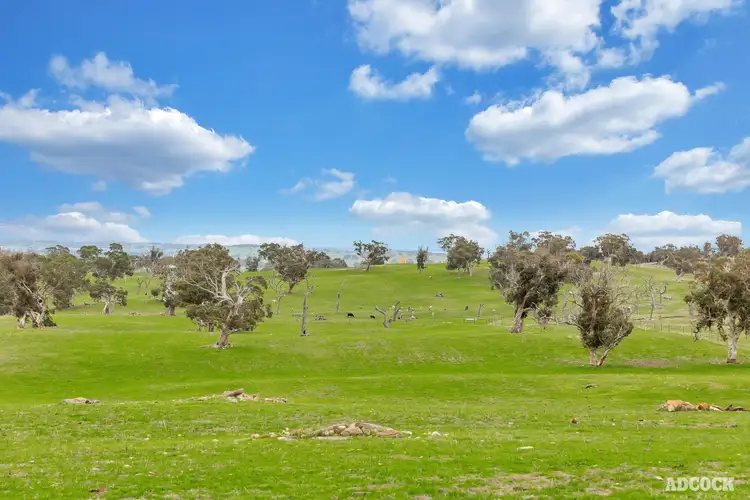 Second view of Homely rural property listing, 1043 Black Heath Road, Tungkillo SA 5236