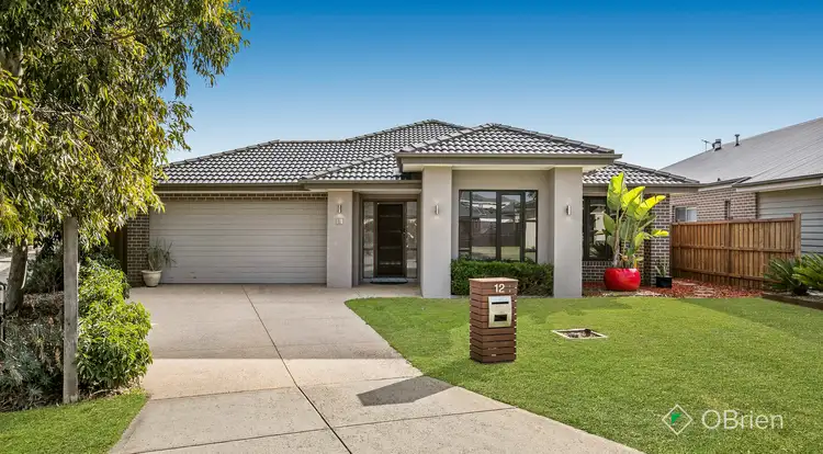 Second view of Homely house listing, 12 Tarcoola Way, Sandhurst VIC 3977