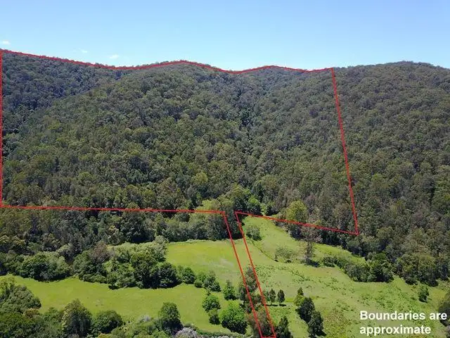 Main view of Homely land listing, 275 Bunning Creek Road, Yarramalong NSW 2259