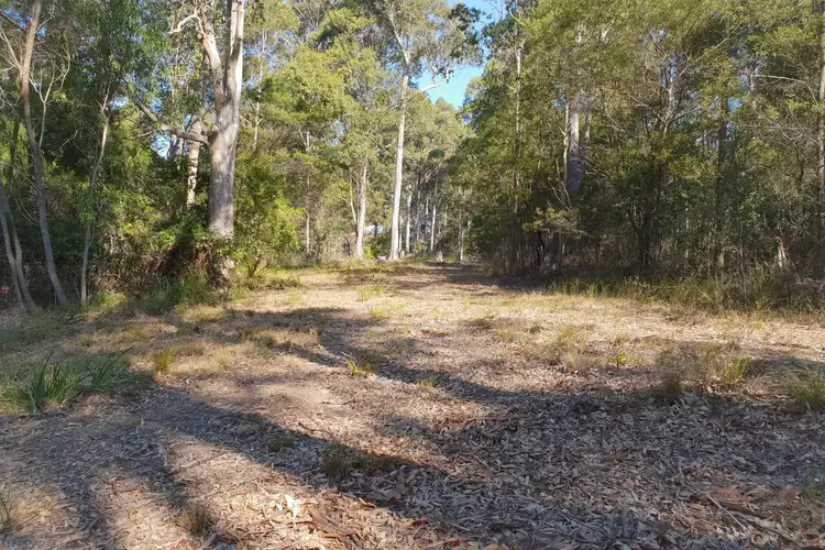 Seventh view of Homely rural property listing, Level 3, LOT 3 Black Marlin Drive, Bermagui NSW 2546