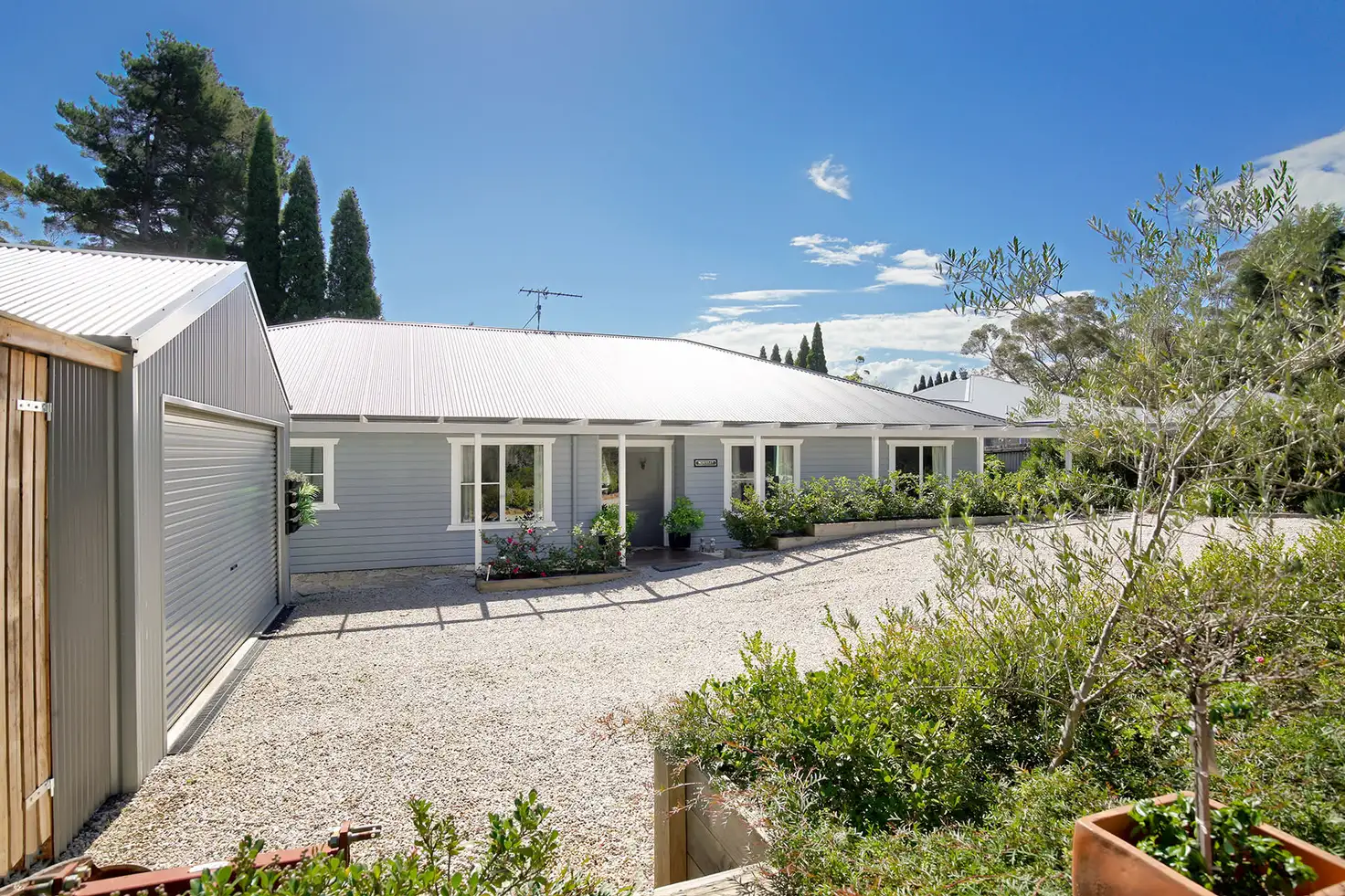Main view of Homely house listing, 41 Pine Avenue, Wentworth Falls NSW 2782