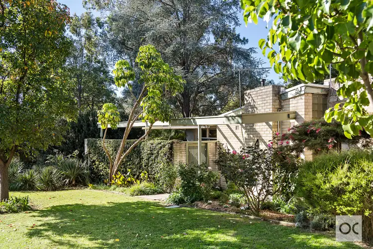 Main view of Homely house listing, 4 Finniss Terrace, Burnside SA 5066