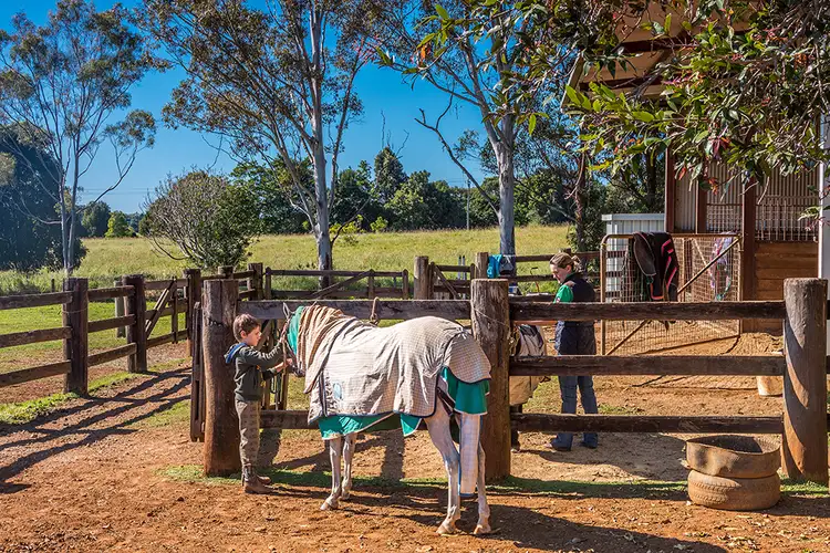 Third view of Homely house listing, 50 Myocum Downs Drive, Myocum NSW 2481