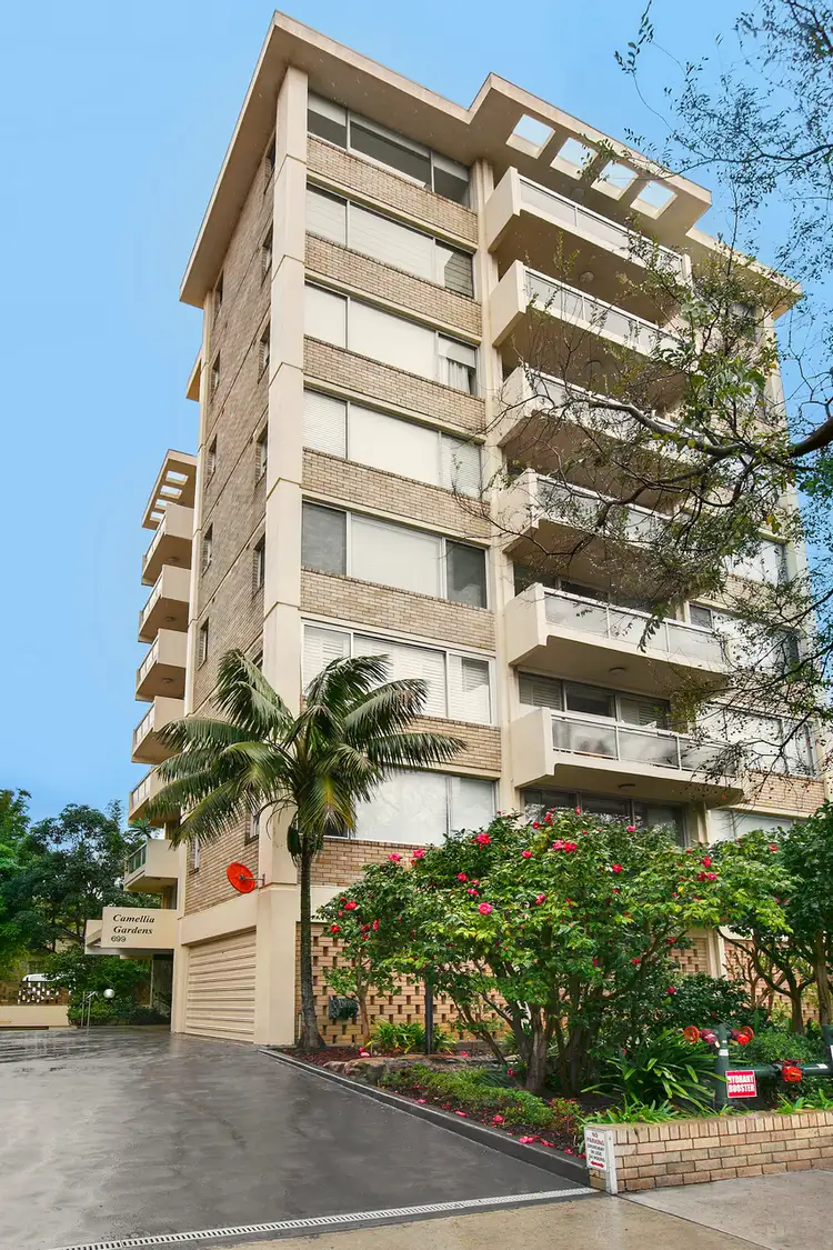 Fourth view of Homely apartment listing, 3C/699 Military Road, Mosman NSW 2088