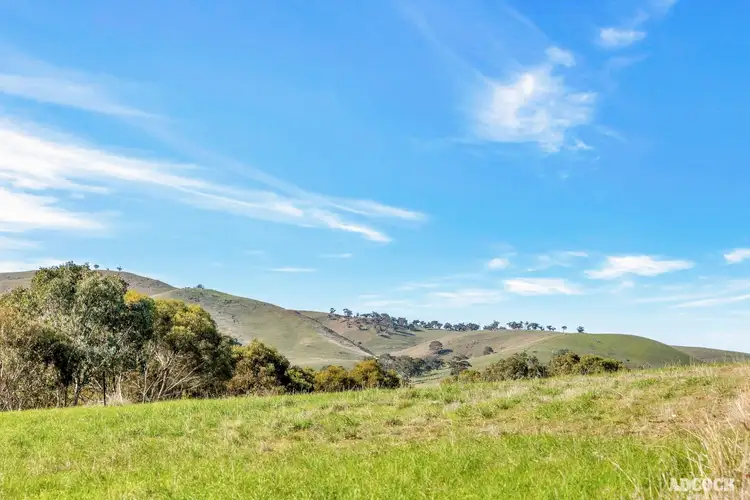 Second view of Homely land listing, LOT 5 Wachtel Road, Harrogate SA 5244