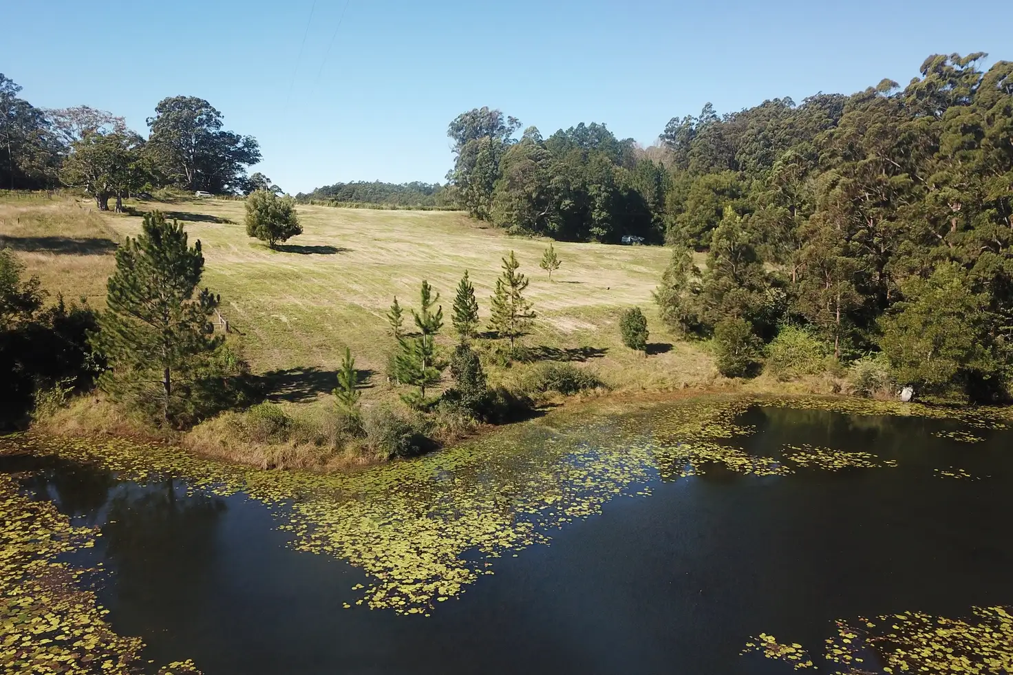 Main view of Homely rural property listing, 126 Gabal Road, Nimbin NSW 2480
