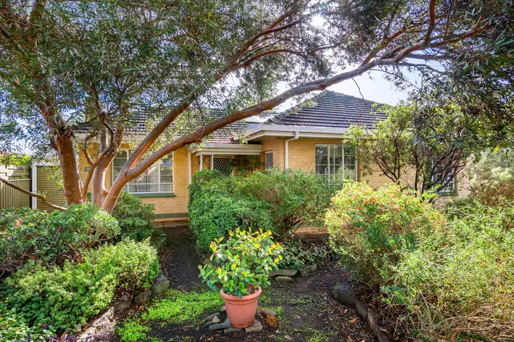 Main view of Homely house listing, 17 Coolah Terrace, Marion SA 5043