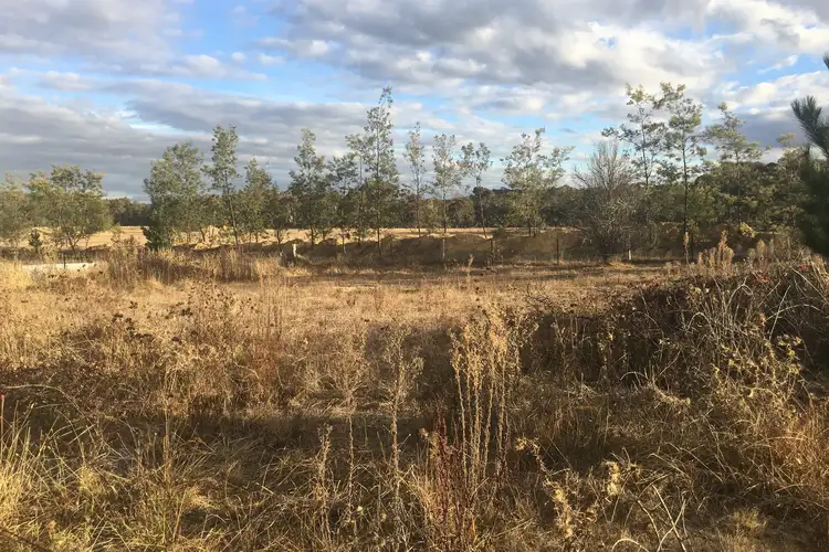 Main view of Homely rural property listing, LOT 9 & 10 Castlereagh Highway, Capertee NSW 2846