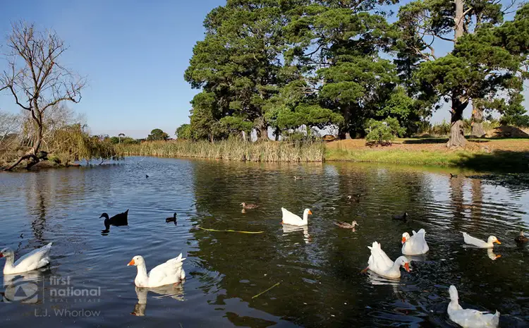 Fourth view of Homely land listing, Lot 74 Rangeview Drive, Riddells Creek VIC 3431
