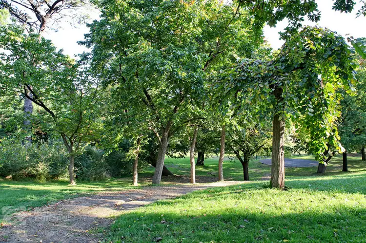 Seventh view of Homely land listing, Lot 74 Rangeview Drive, Riddells Creek VIC 3431