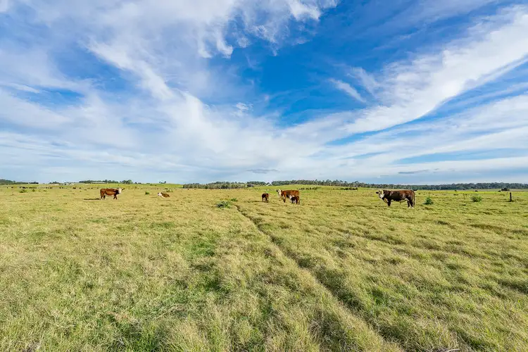 Third view of Homely land listing, 244 Duckenfield Road, Berry Park NSW 2321