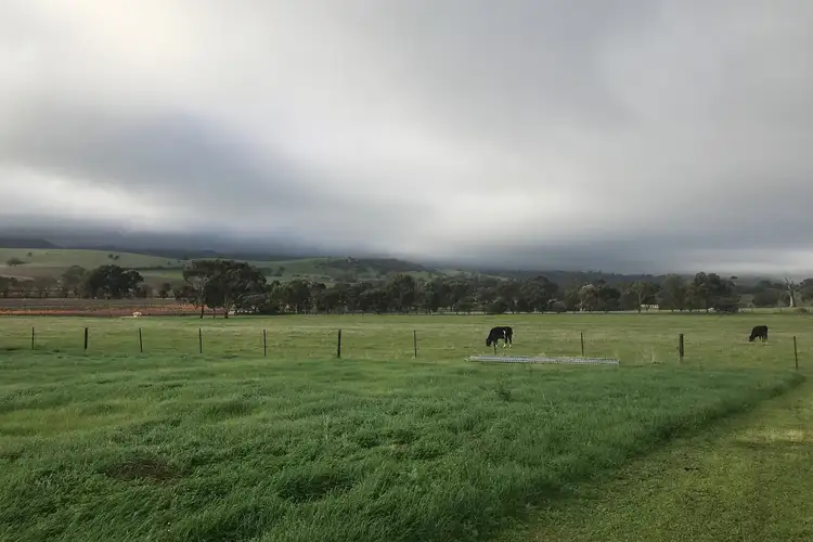 Fourth view of Homely land listing, 13 Robert Ross Drive, Lyndoch SA 5351