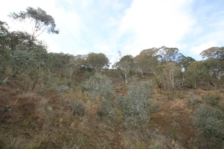 Fifth view of Homely rural property listing, 2047 Hill End Road, Mudgee NSW 2850