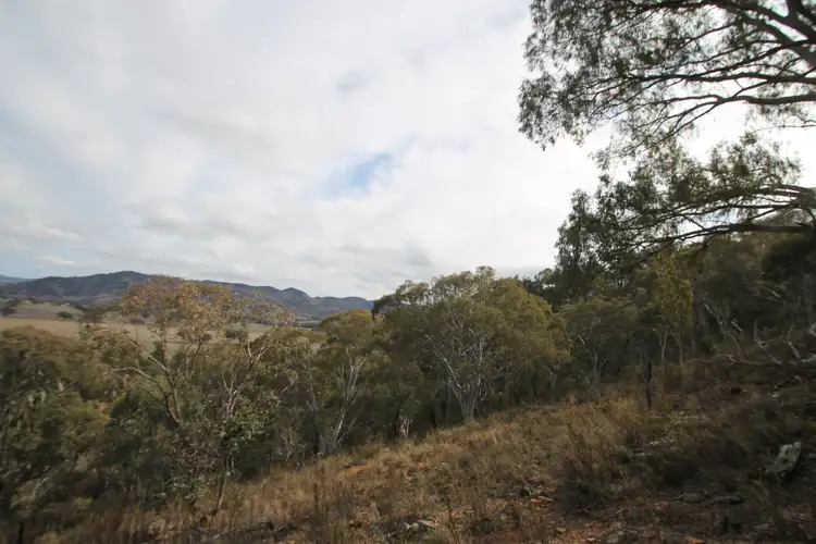 Sixth view of Homely rural property listing, 2047 Hill End Road, Mudgee NSW 2850