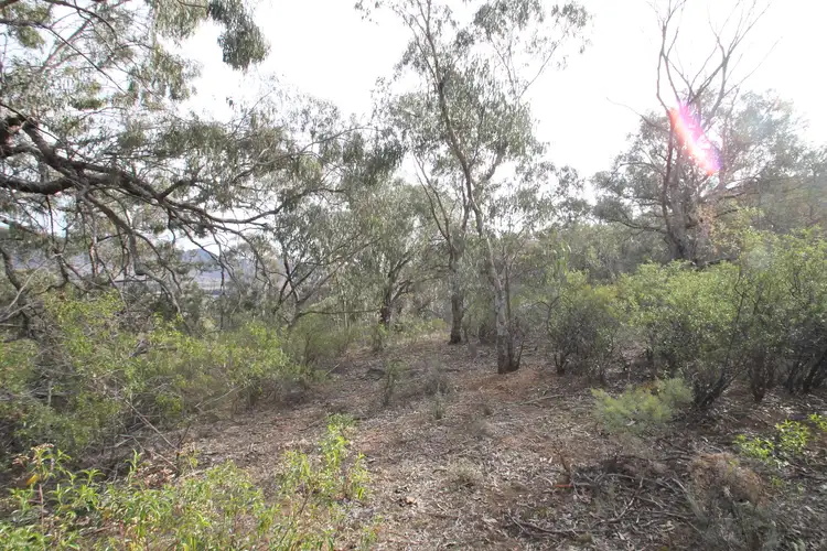 Seventh view of Homely rural property listing, 2047 Hill End Road, Mudgee NSW 2850