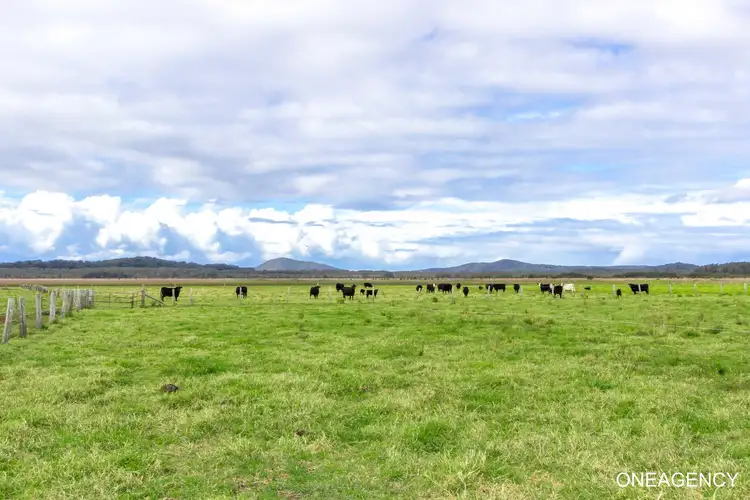 Third view of Homely rural property listing, LOT 3 Kinchela Creek Right Bank Road, Kinchela NSW 2440