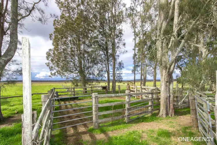 Seventh view of Homely rural property listing, LOT 3 Kinchela Creek Right Bank Road, Kinchela NSW 2440