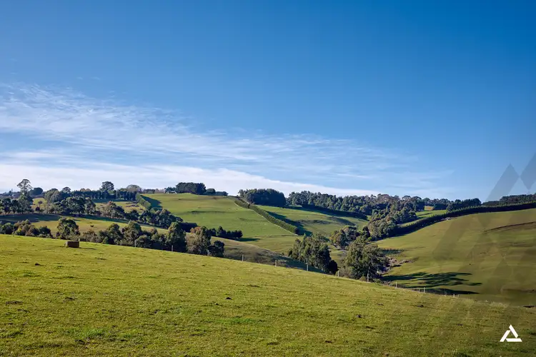 Third view of Homely rural property listing, 570 Sheffield Road, Neerim VIC 3831