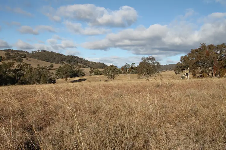 LOT 100, 1191 Campbells Creek Road, Mudgee NSW 2850