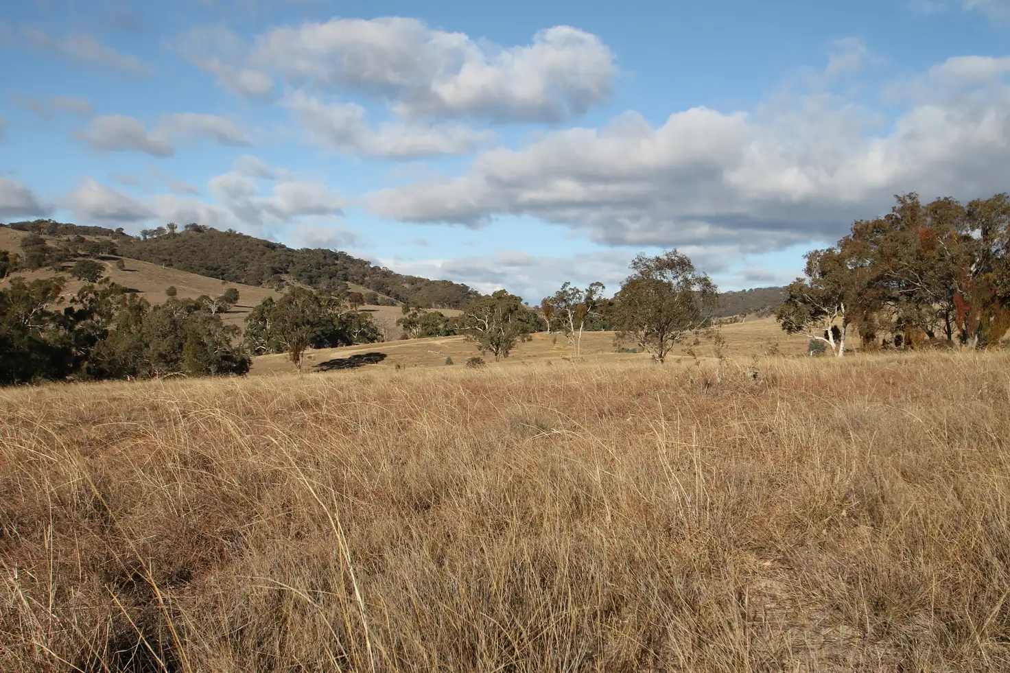 Main view of Homely rural property listing, LOT 100, 1191 Campbells Creek Road, Mudgee NSW 2850