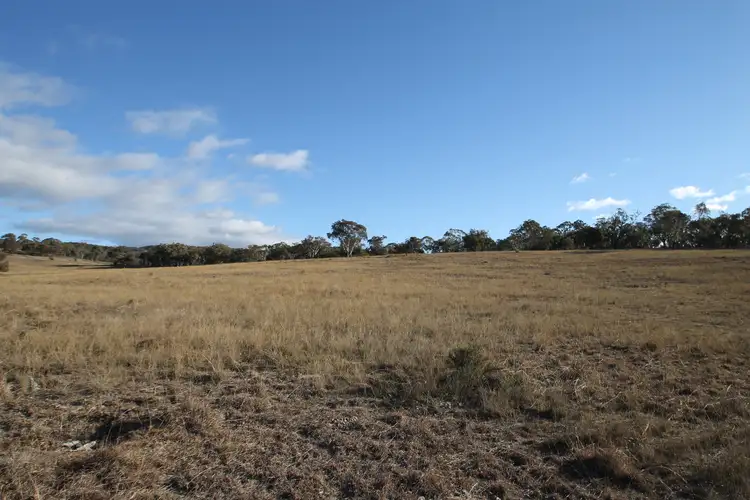 Third view of Homely rural property listing, LOT 100, 1191 Campbells Creek Road, Mudgee NSW 2850