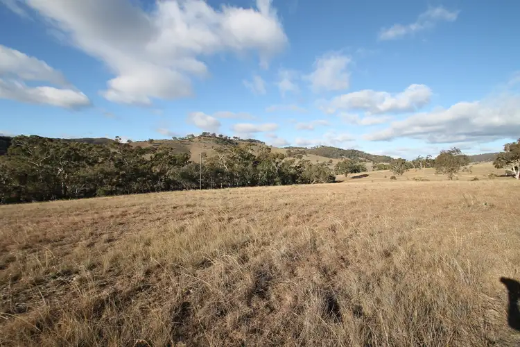 Fourth view of Homely rural property listing, LOT 100, 1191 Campbells Creek Road, Mudgee NSW 2850