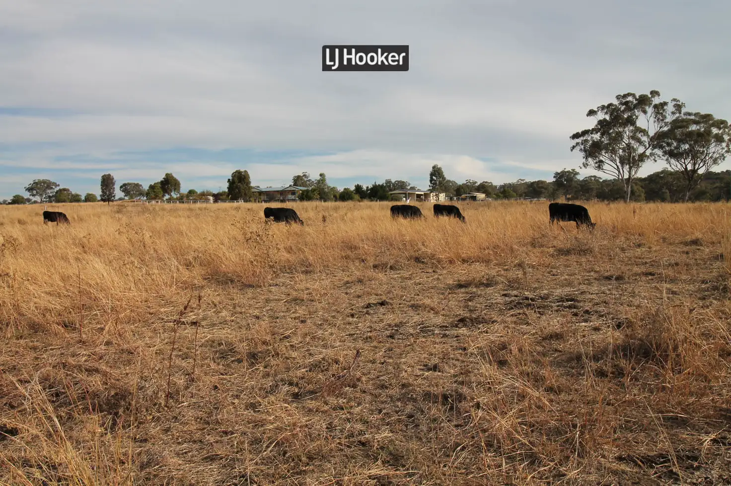 Main view of Homely land listing, 528 Fernhill Road, Inverell NSW 2360