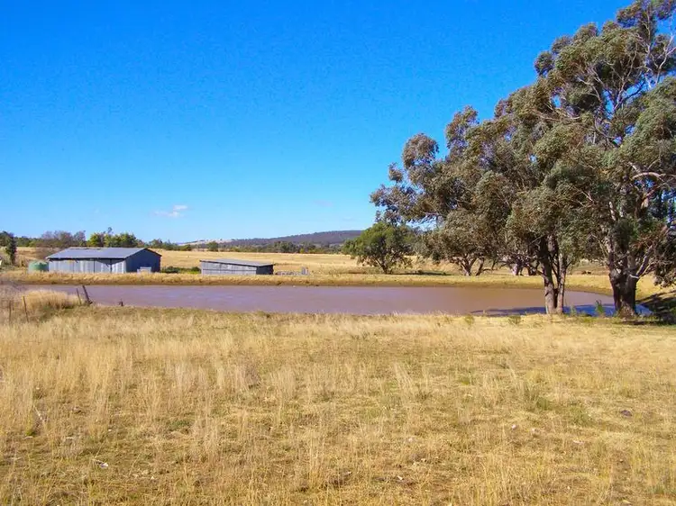 Second view of Homely rural property listing, 8263 Gwydir Highway, Inverell NSW 2360