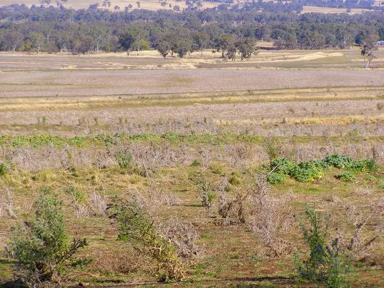 Fourth view of Homely rural property listing, 8263 Gwydir Highway, Inverell NSW 2360